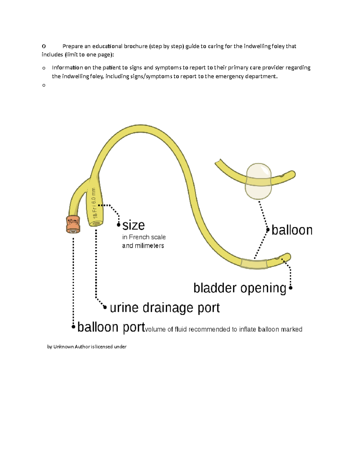 Virtual Clinical Assignment: UTI Care Guide for Indwelling Foley - Studocu