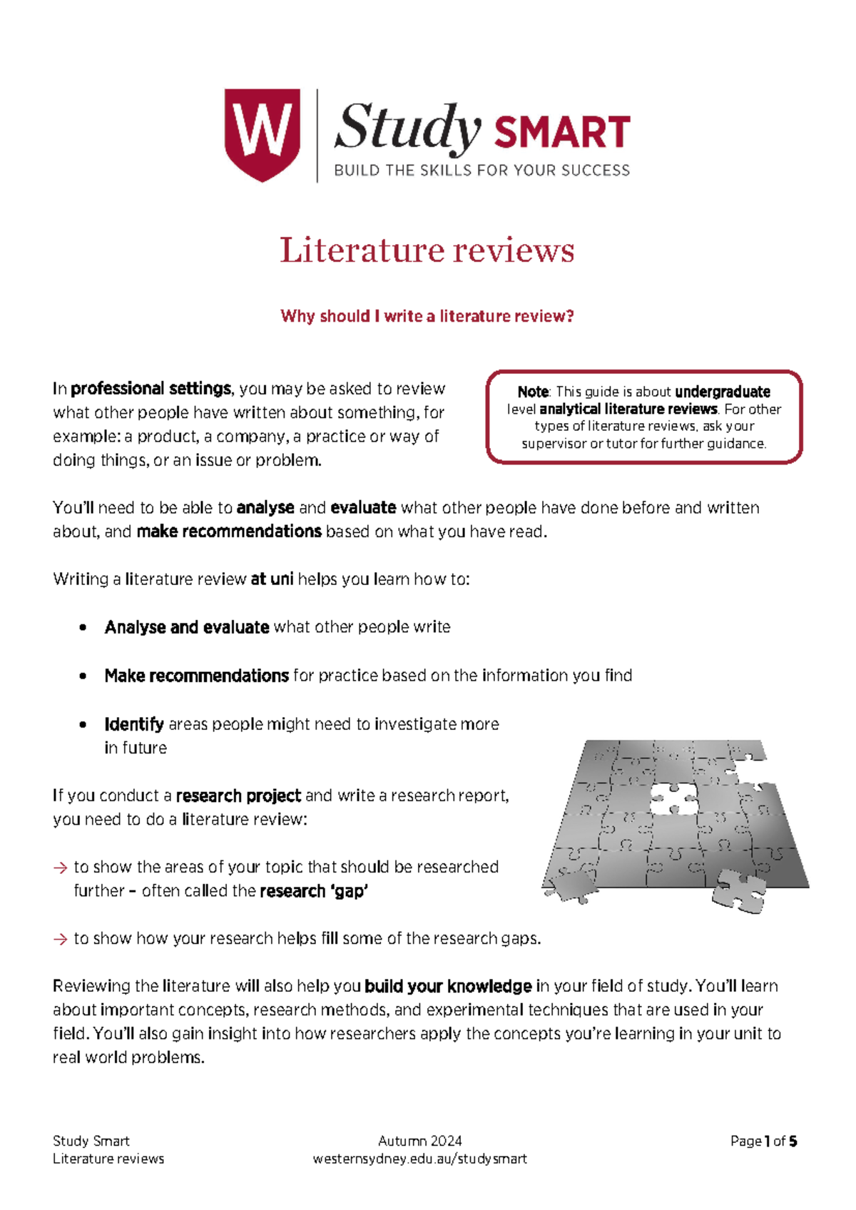 Literature Review Guidelines for Undergrad Studies - Notes - Studocu