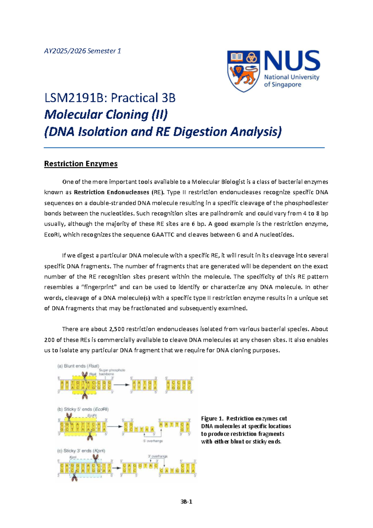 LSM2191B: Practical 3B - Molecular Cloning & DNA Analysis Techniques ...