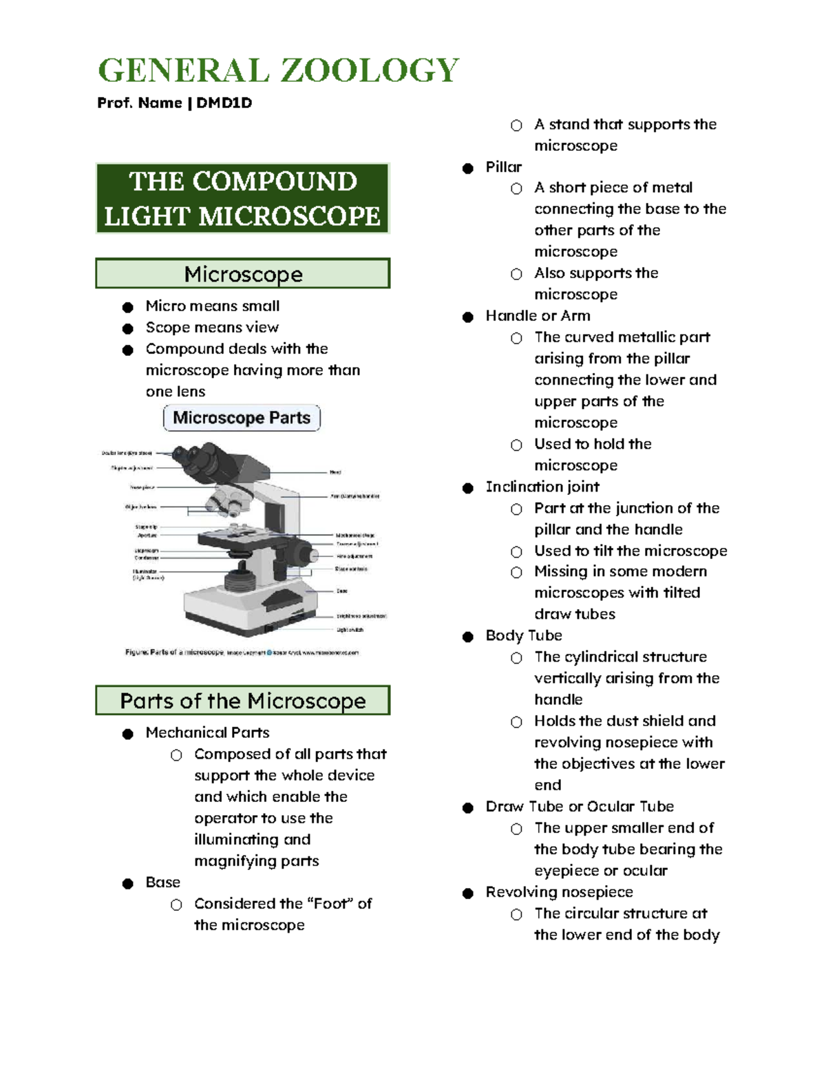 General Zoology DMD1D: The Compound Light Microscope Overview - Studocu