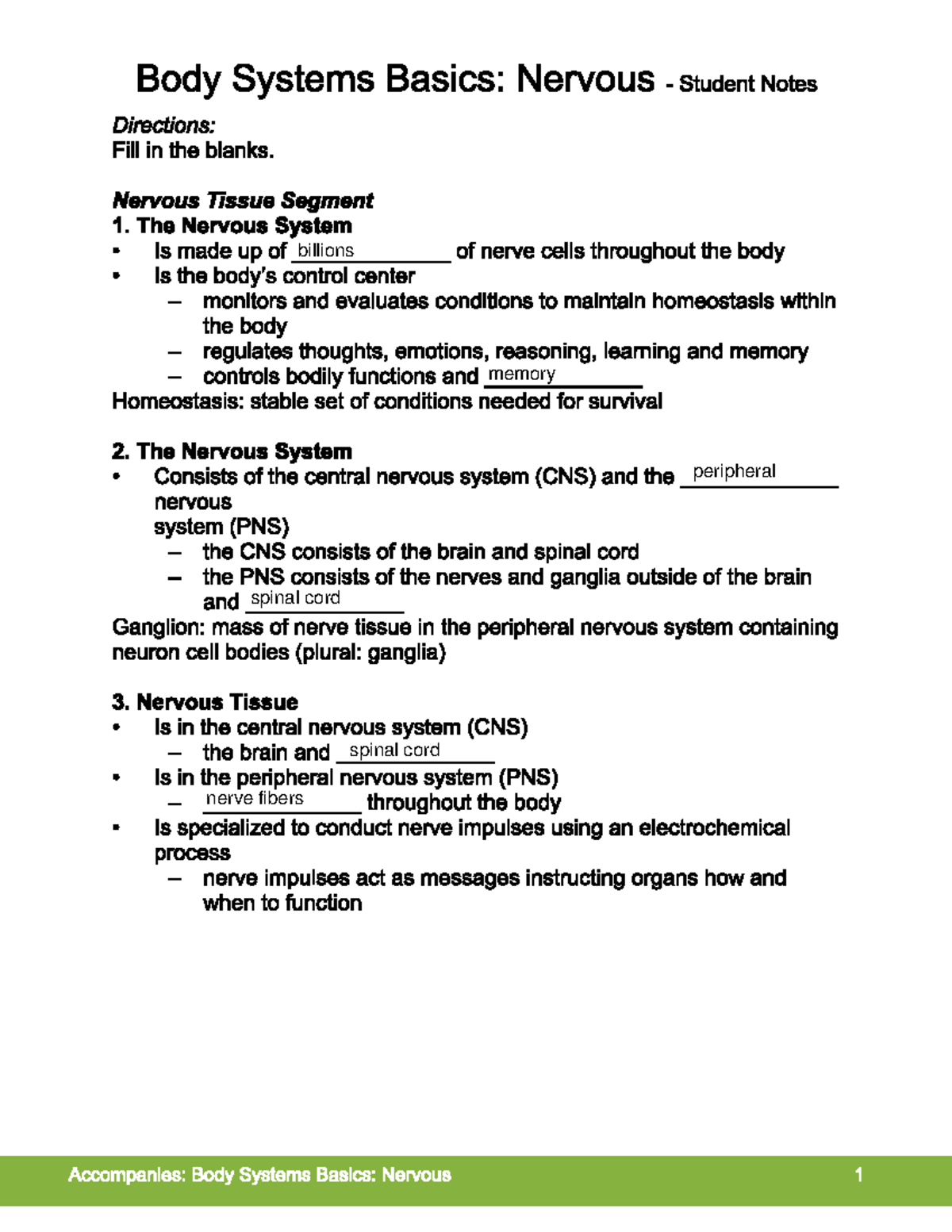 Nervous System Overview: Student Notes Worksheet for Biology 101 - Studocu