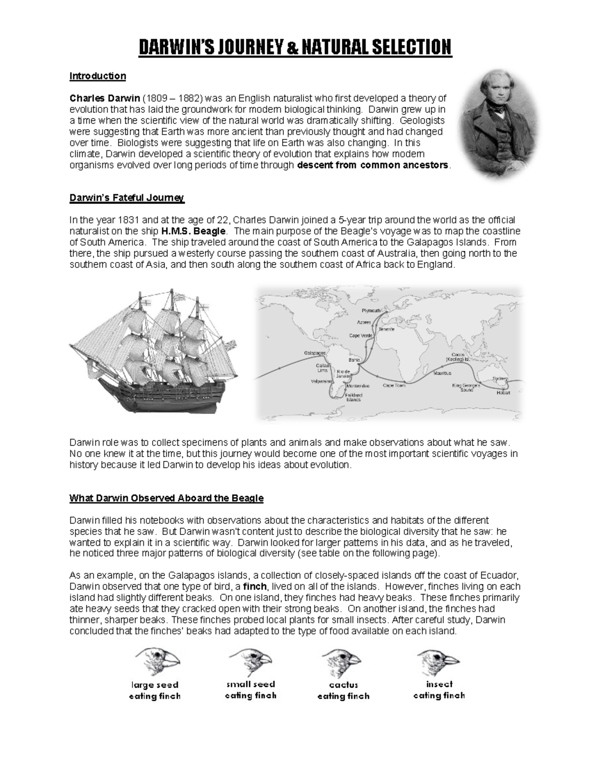 Darwin's Evolutionary Theory: Natural Selection and Its Patterns ...