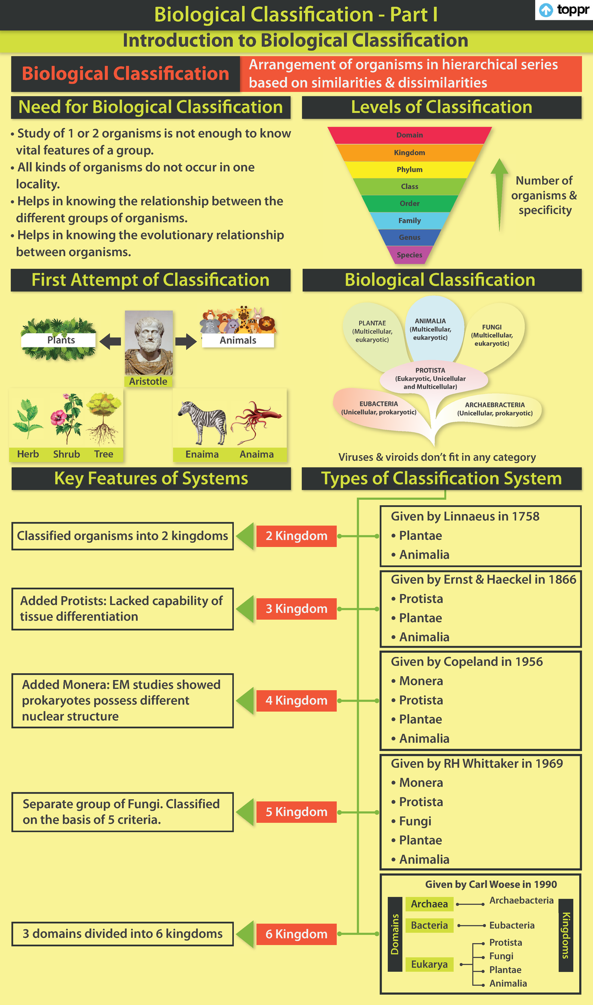 Biological Classification Overview: Viruses, Fungi & Kingdoms - Studocu