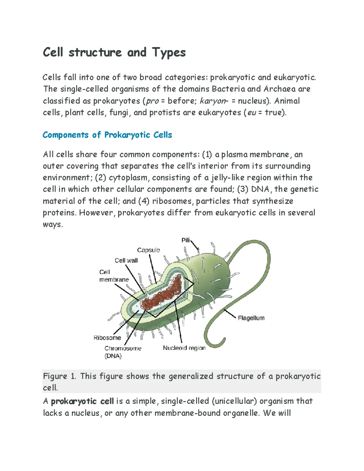 Cell Super Notes (Biology 101): Comprehensive Overview of Cells - Studocu