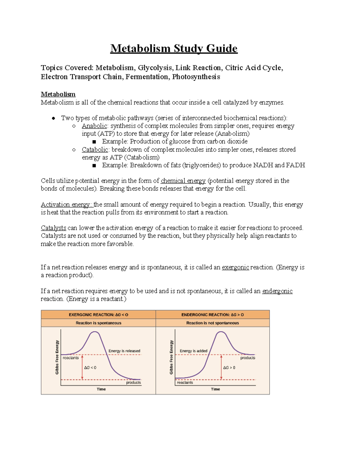Metabolism and Photosynthesis Study Guide: Key Concepts (BIO 101) - Studocu