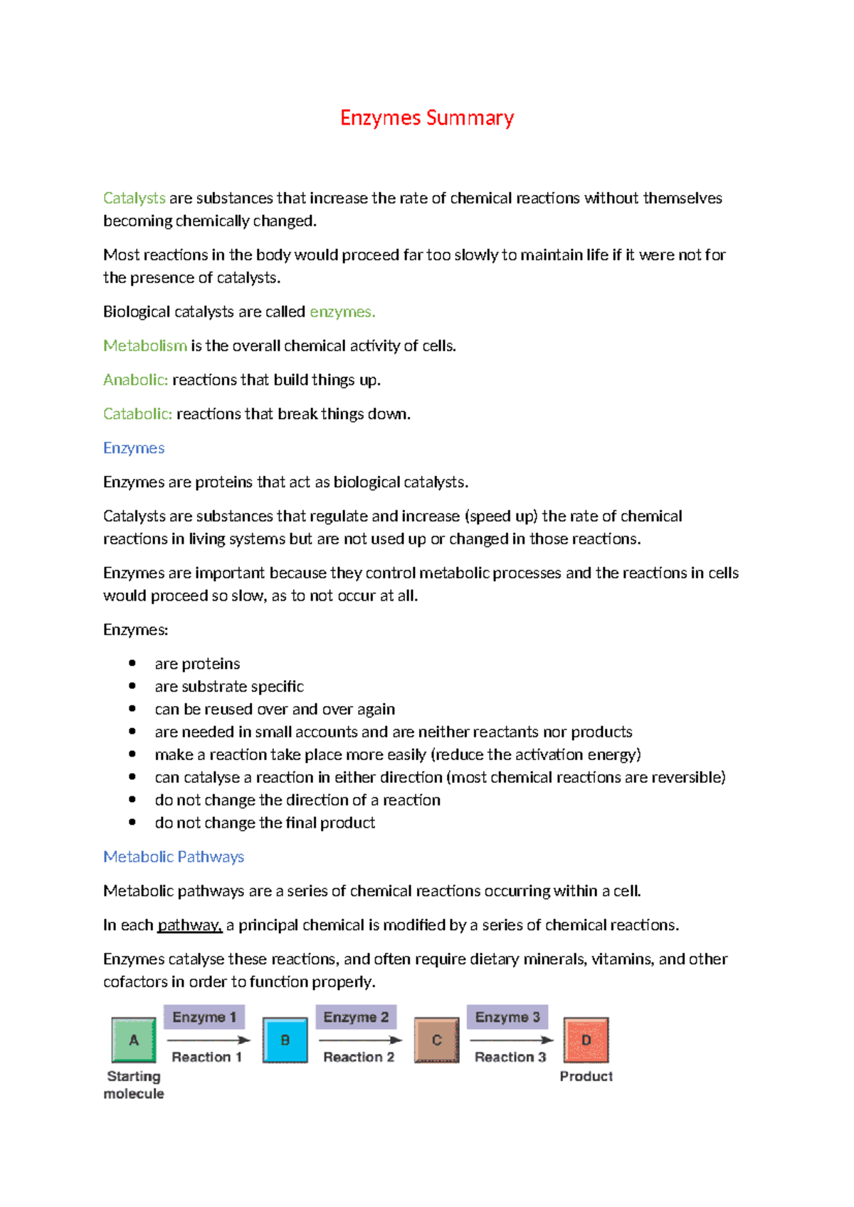 Enzymes Summary: Key Concepts and Mechanisms of Biological Catalysts ...