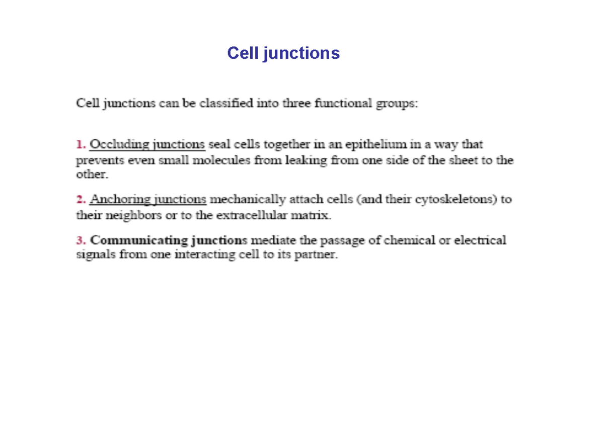 Cell junctions 2015 (pdf) - Cell junctions If a low MW tracer added to ...