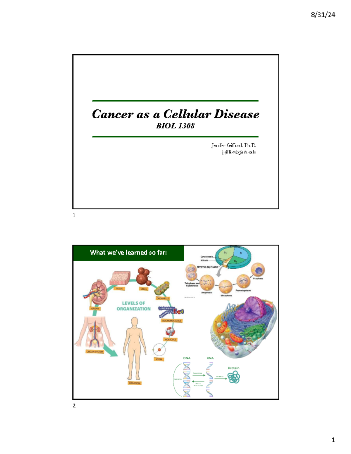 Cancer as a Cellular Disease: BIOL 1308 Lecture Notes - Studocu