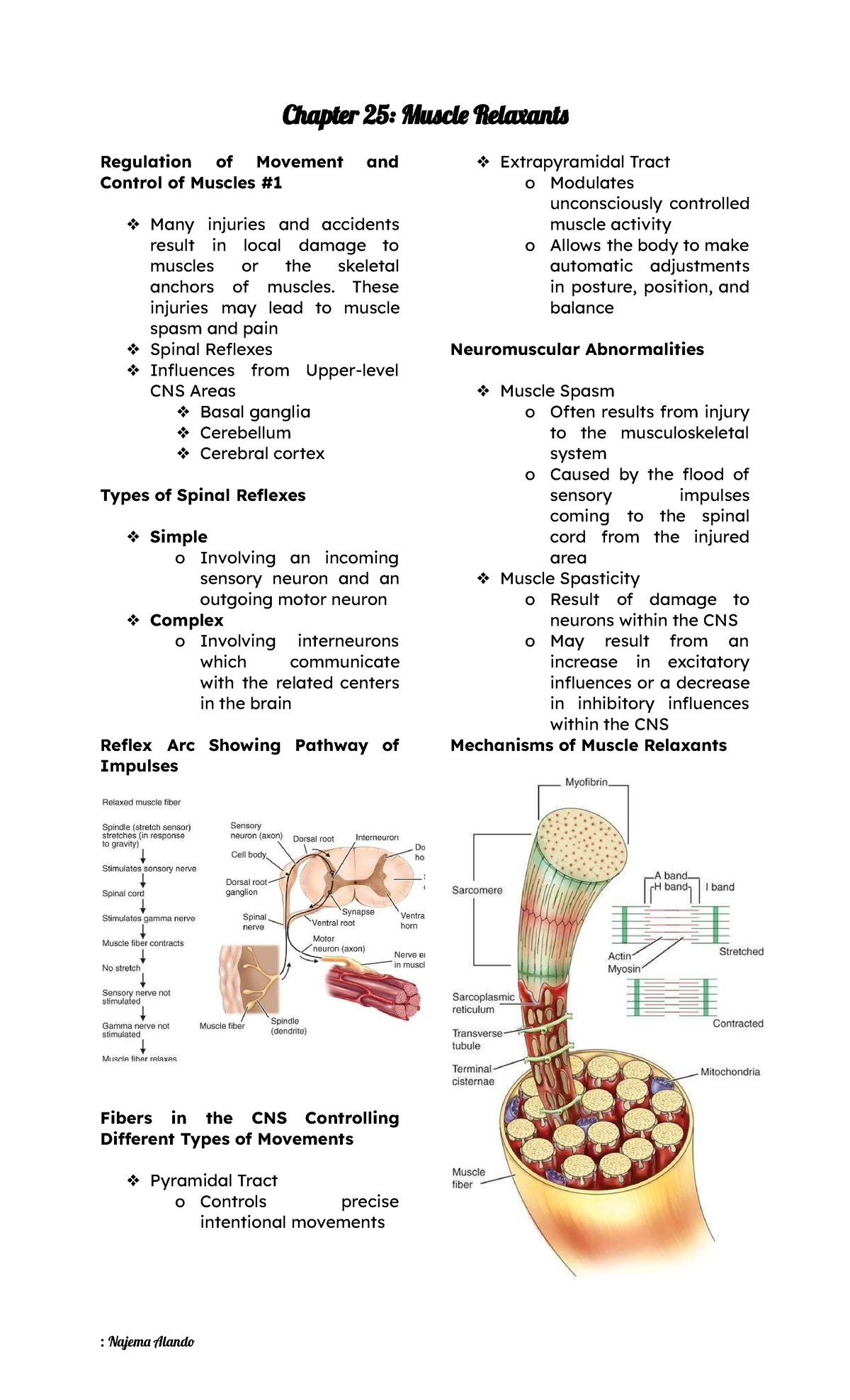 Chapter 25: Muscle Relaxants & Movement Control - Pharma C25 - Studocu
