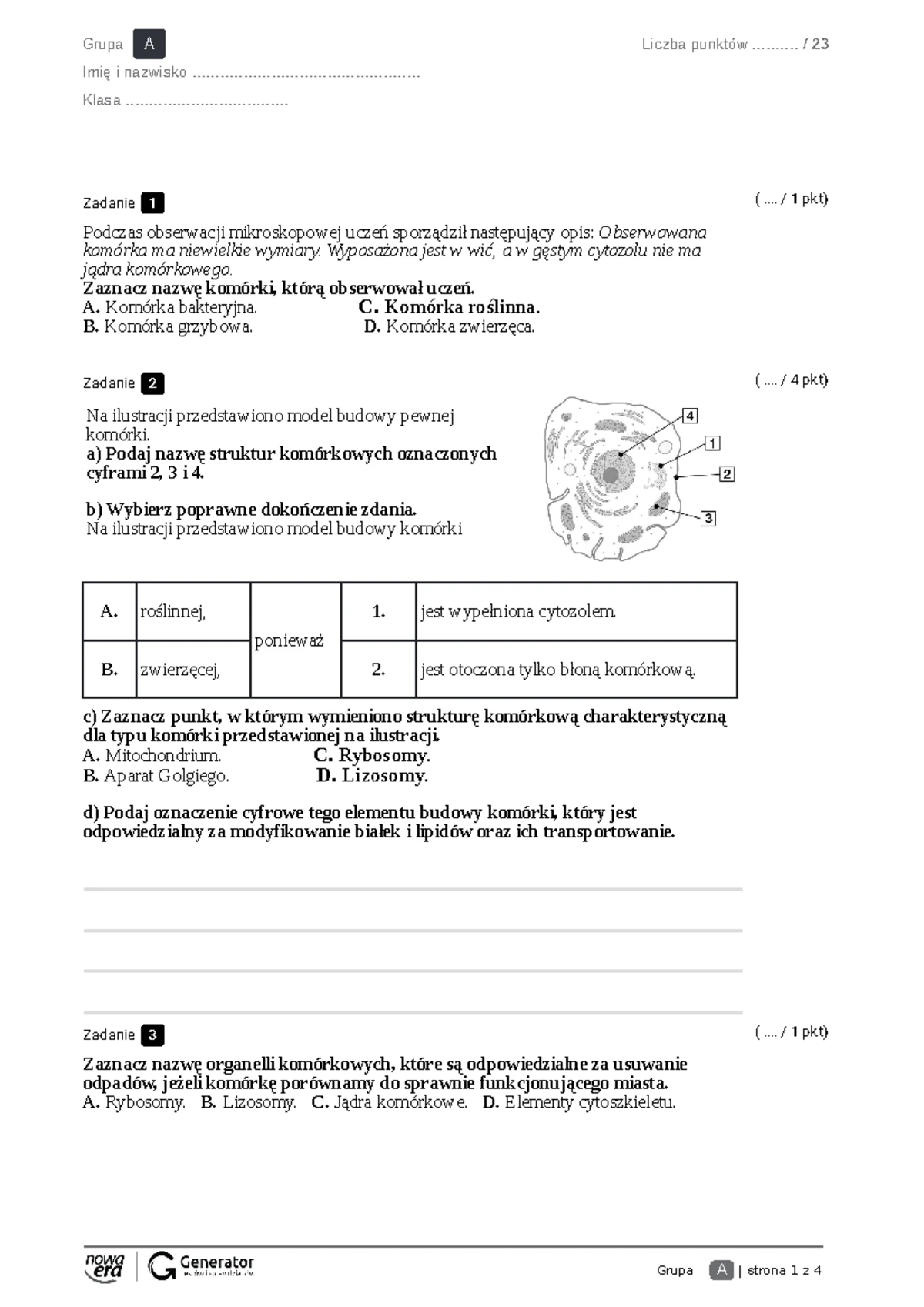 Sprawdzian Z Biologii Klasa 8 Wsip www.studocu.com