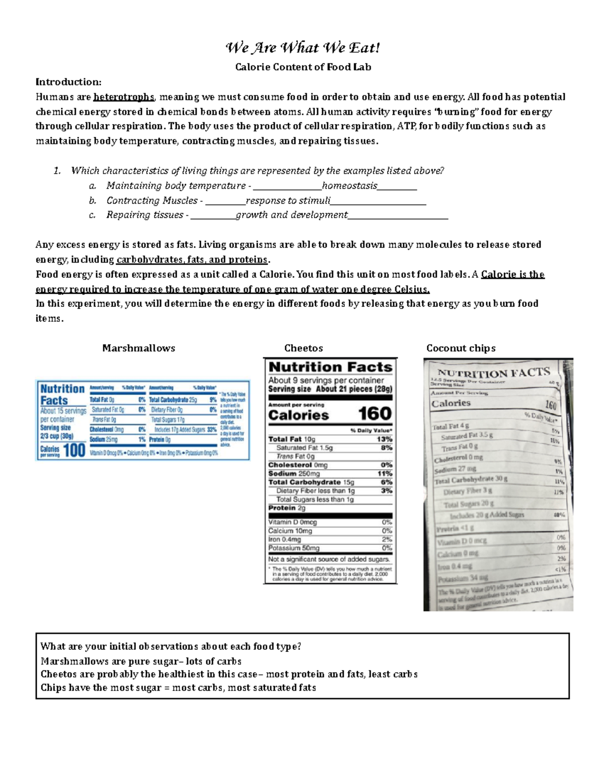 Final Lab Report: (aek AP) Calorimetry Analysis of Food Energy - Studocu