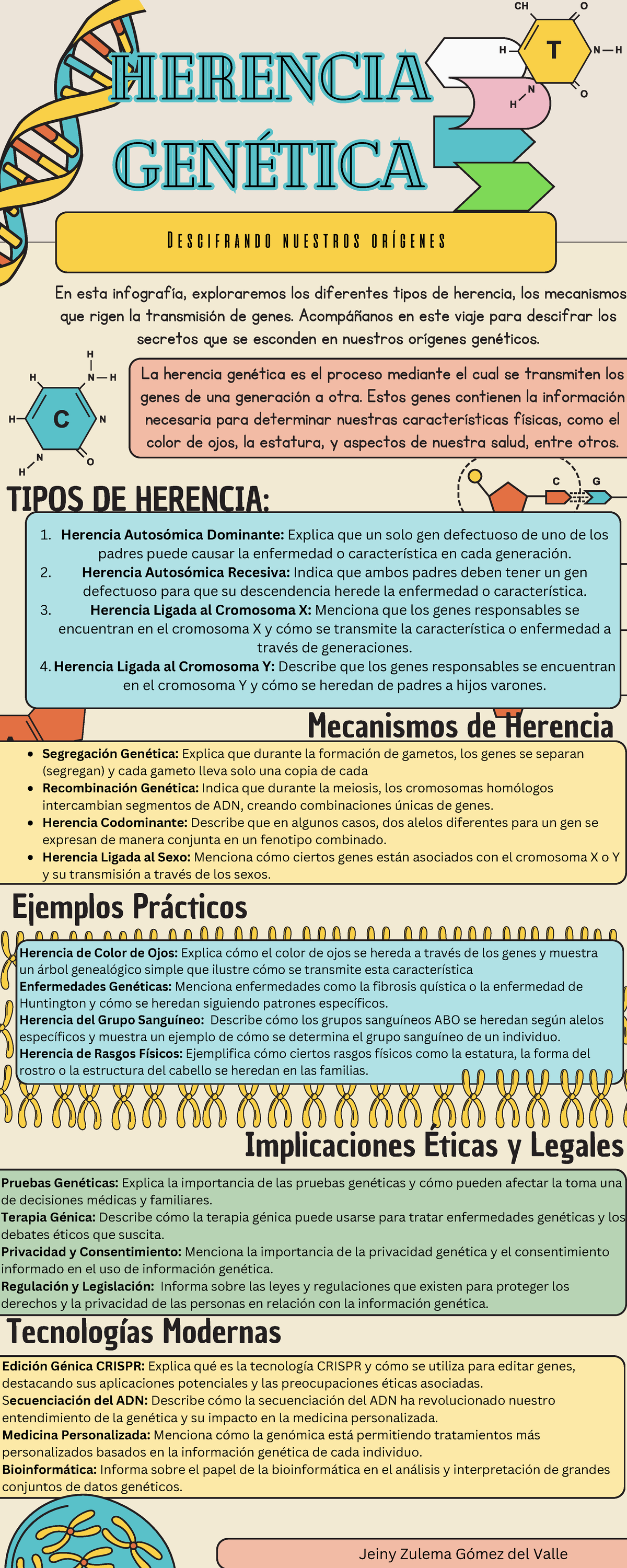 Infografía sobre Herencia Genética y Mecanismos de Transmisión - Studocu