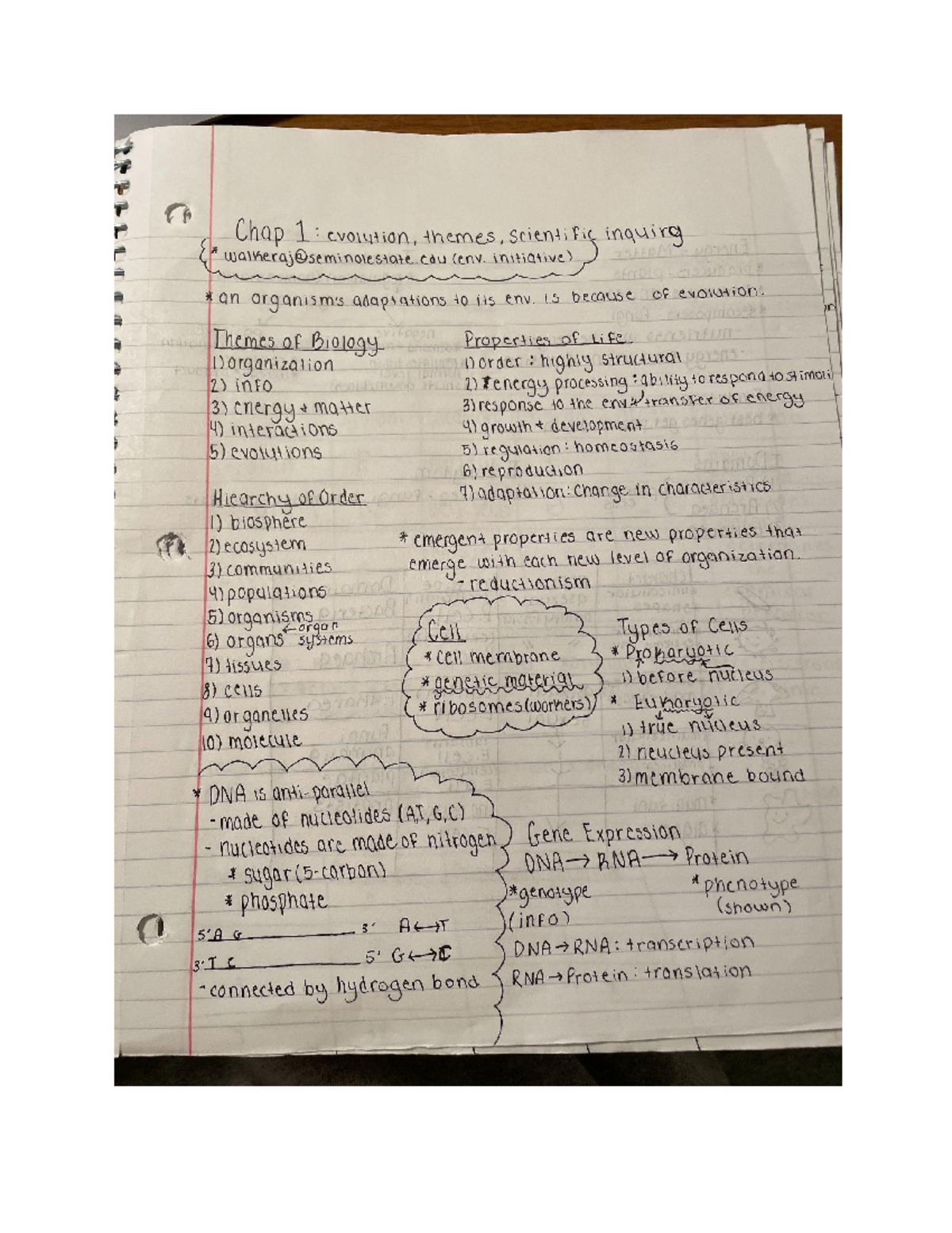 Biology 101: Comprehensive Notes on Chapters 1-4 Concepts - Studocu