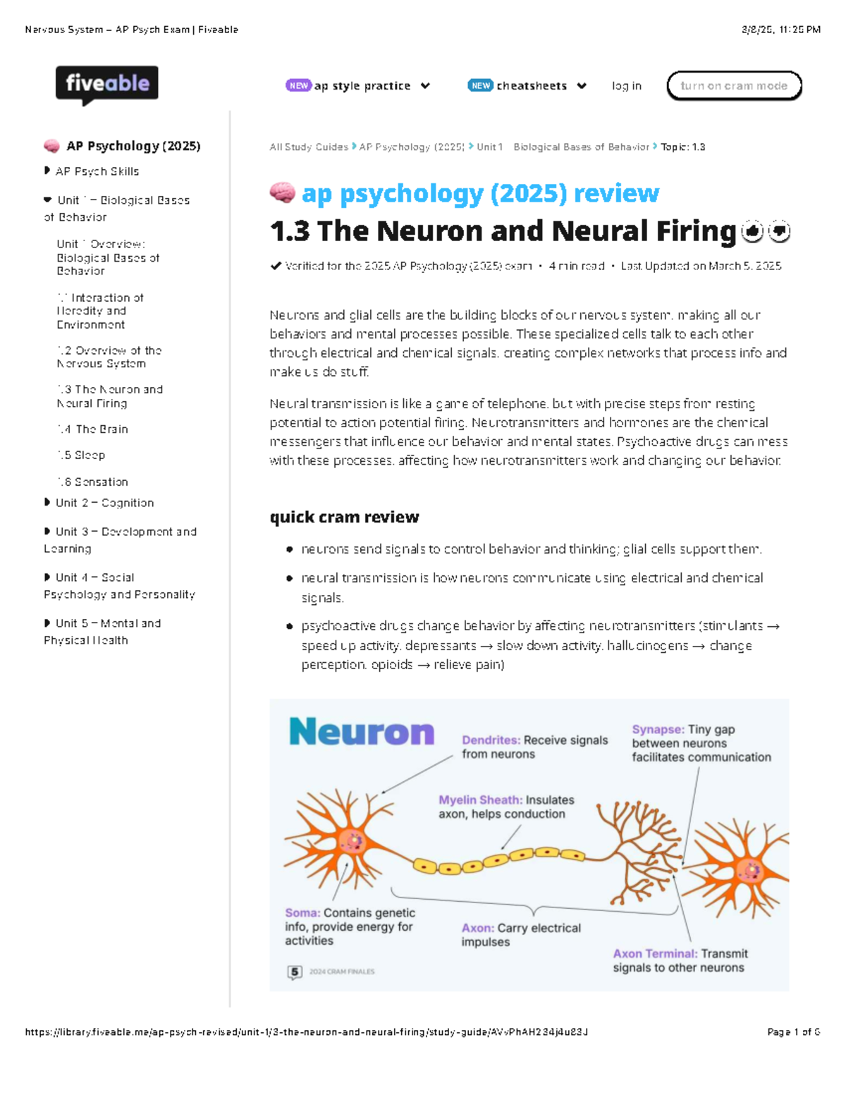 1.3 Nervous System Overview - AP Psychology Exam (2025) Study Guide ...