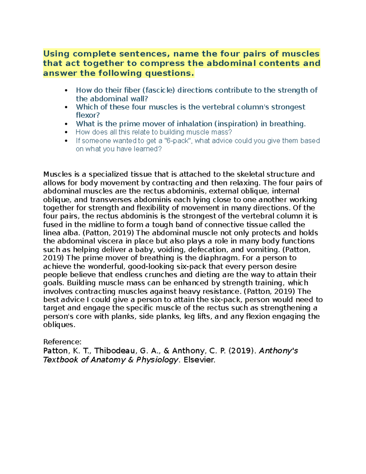 Anatomy Discussion Wk6: Core Muscles and Strength Training Insights ...