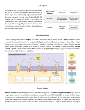 BIO 203 Exam 2 - Study - StuDocu is not sponsored or