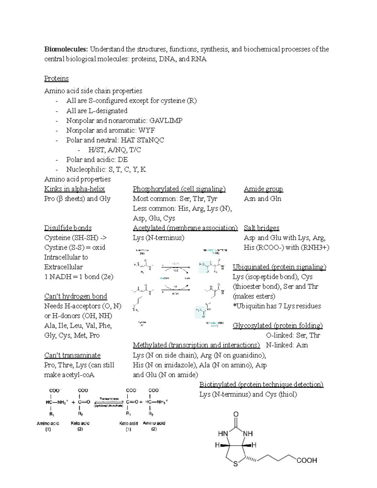 Biochemistry Notes: Protein Structure, Function & Analysis Techniques ...