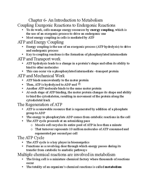 Chapter 9-13 Exam Review Guide: Cell Cycle, Meiosis, and Genetics ...