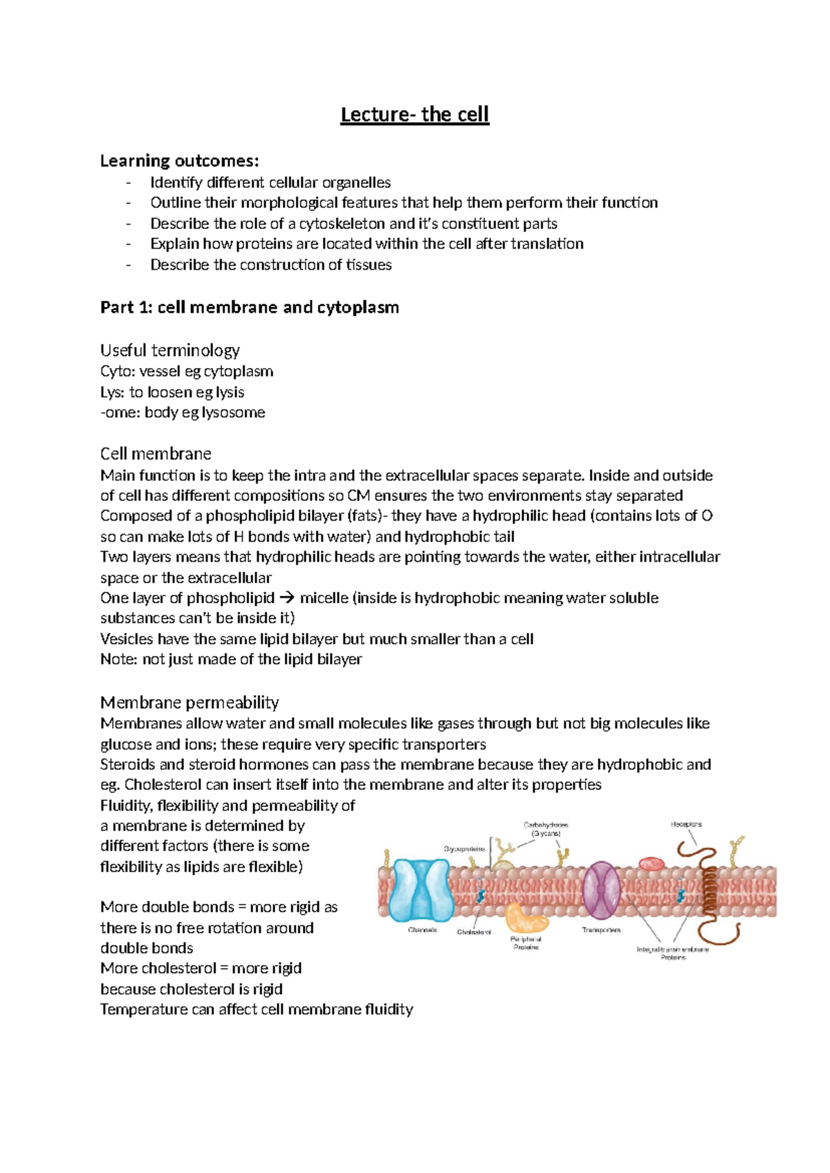 Cell Biology 101: Comprehensive Lecture Notes on Cellular Structures ...