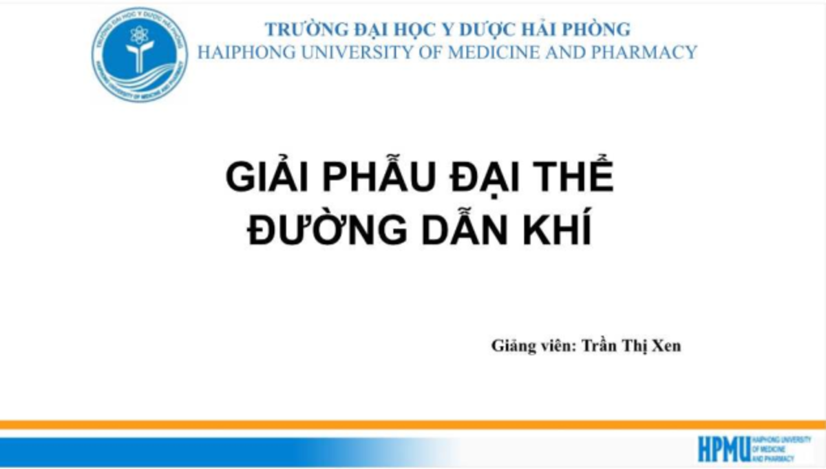 Bài 3 Giải Phẫu Đại Thể Hệ Hô Hấp - HPMU - Studocu