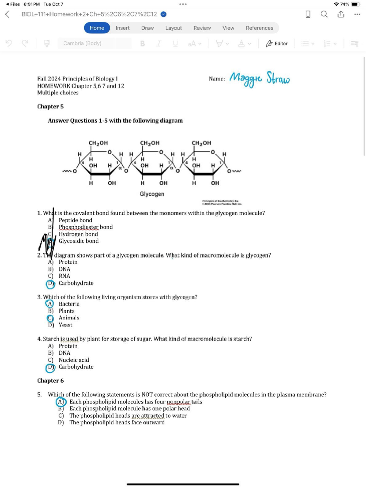 BIO 2024 2nd Exam Study Guide: Key Concepts from Chapters 5, 6, and 12 ...