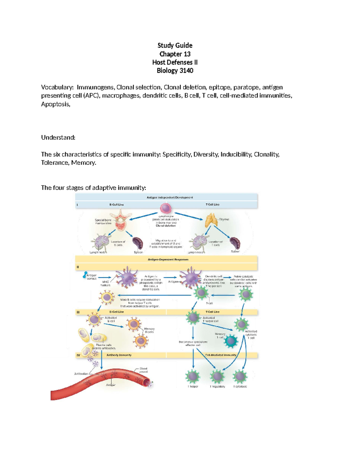 Study Guide Chapter 13: Host Defenses II for Biology 3140 Exam 4 - Studocu