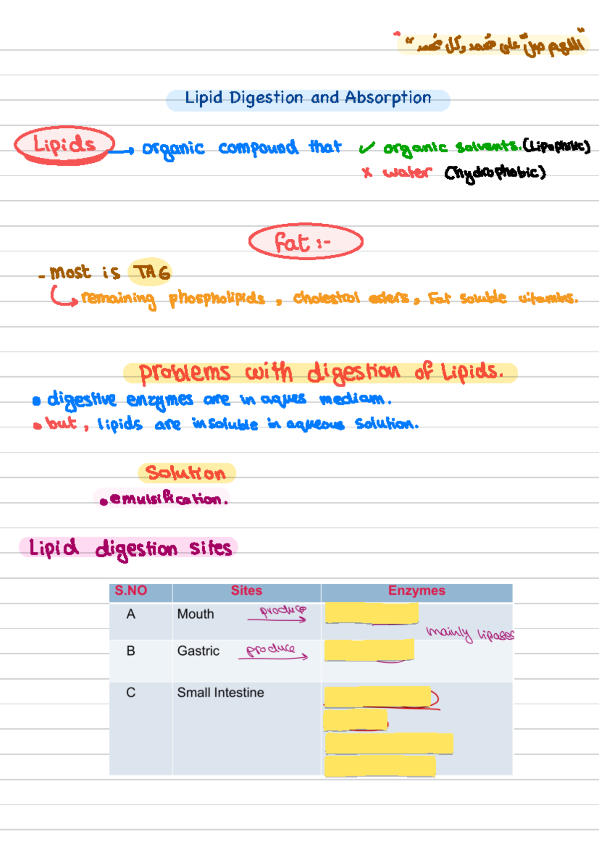 Lipid Digestion and Absorption 🎅🏻 - Lipid Digestion and Absorption ...