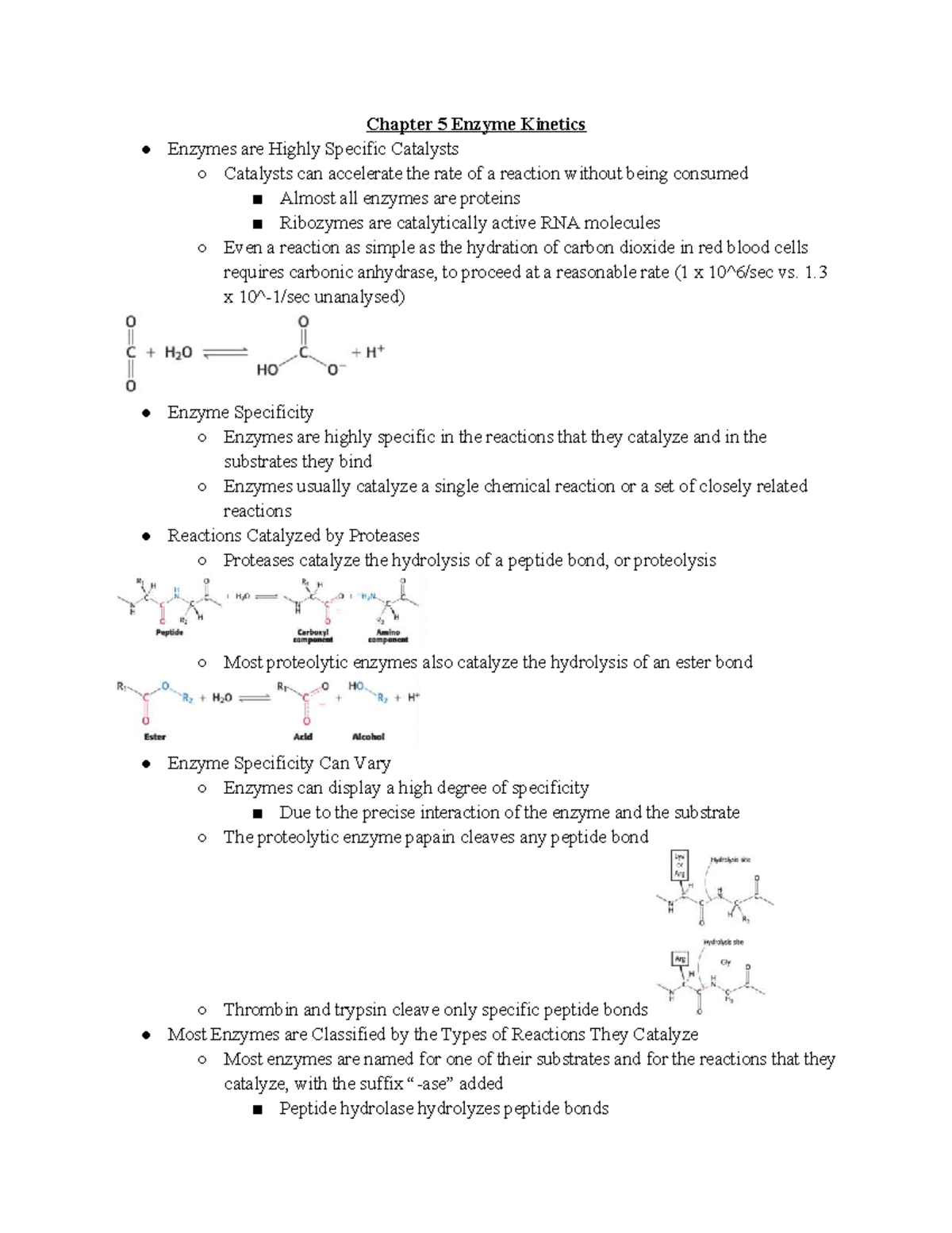 Chapter 5: Enzyme Kinetics - Understanding Catalysis and Specificity ...