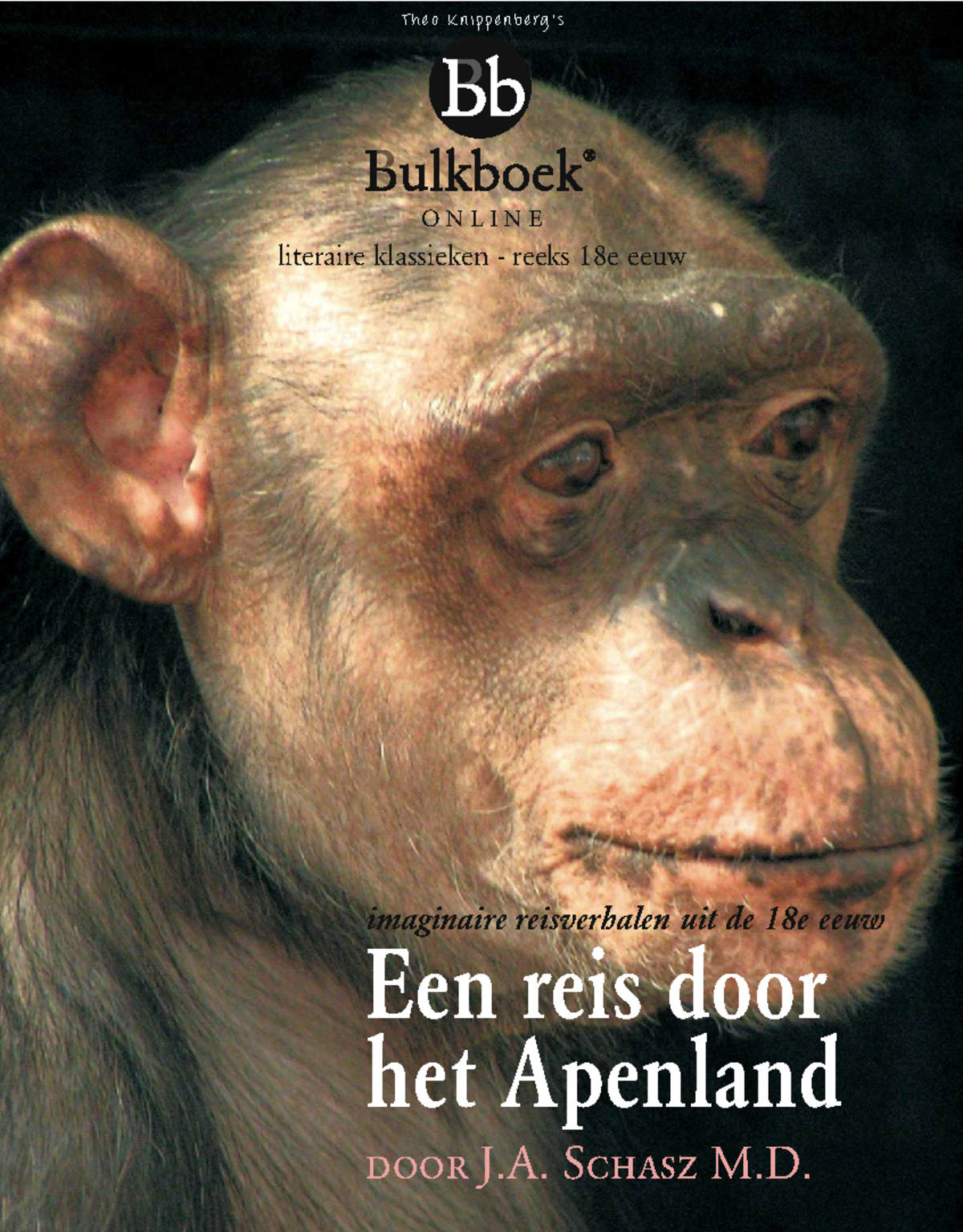 Online Reis door het Apenland: Een Satirische Verkenning (3-5-VWO ...