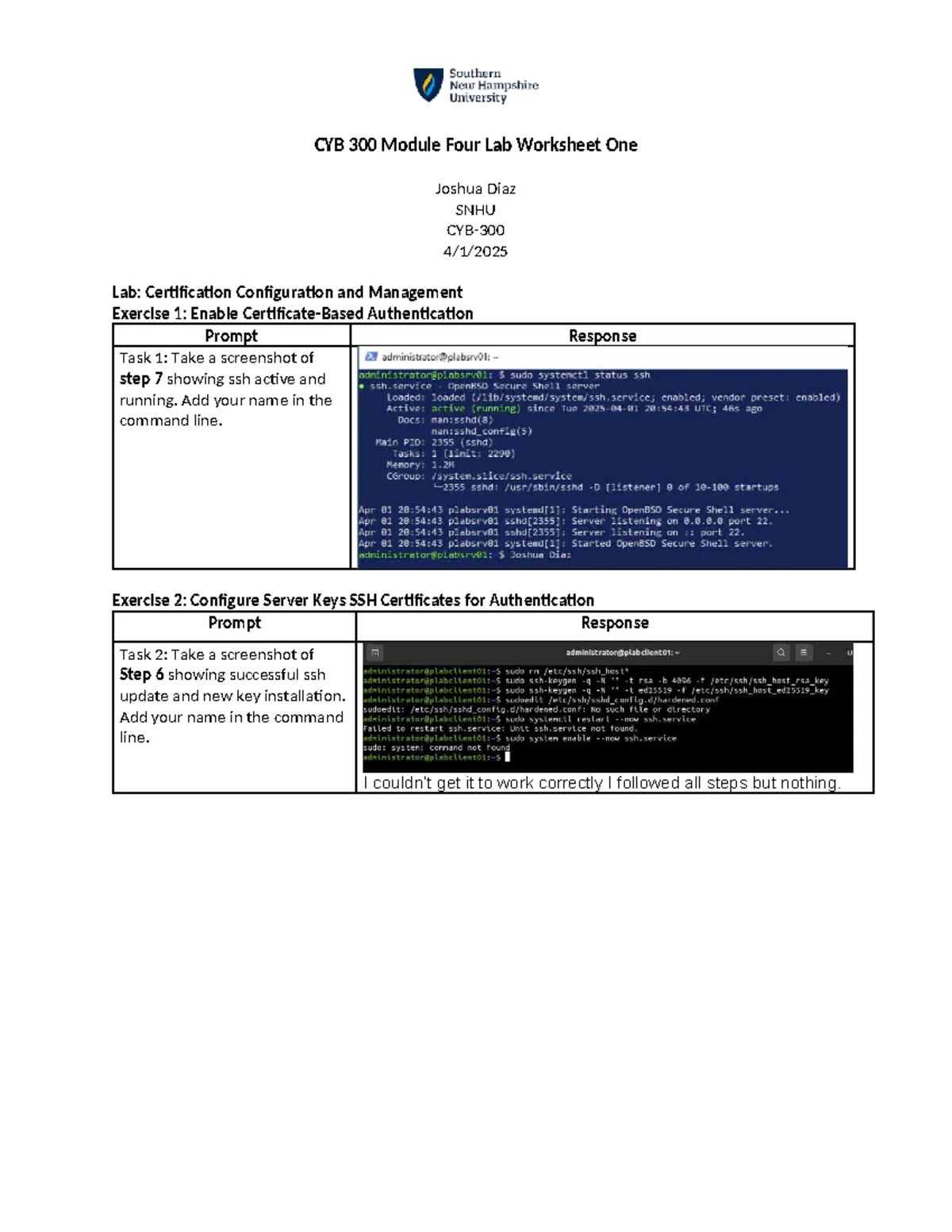 CYB 310 Module 3 Lab Worksheet: WAN Attack Analysis by Joshua Diaz ...