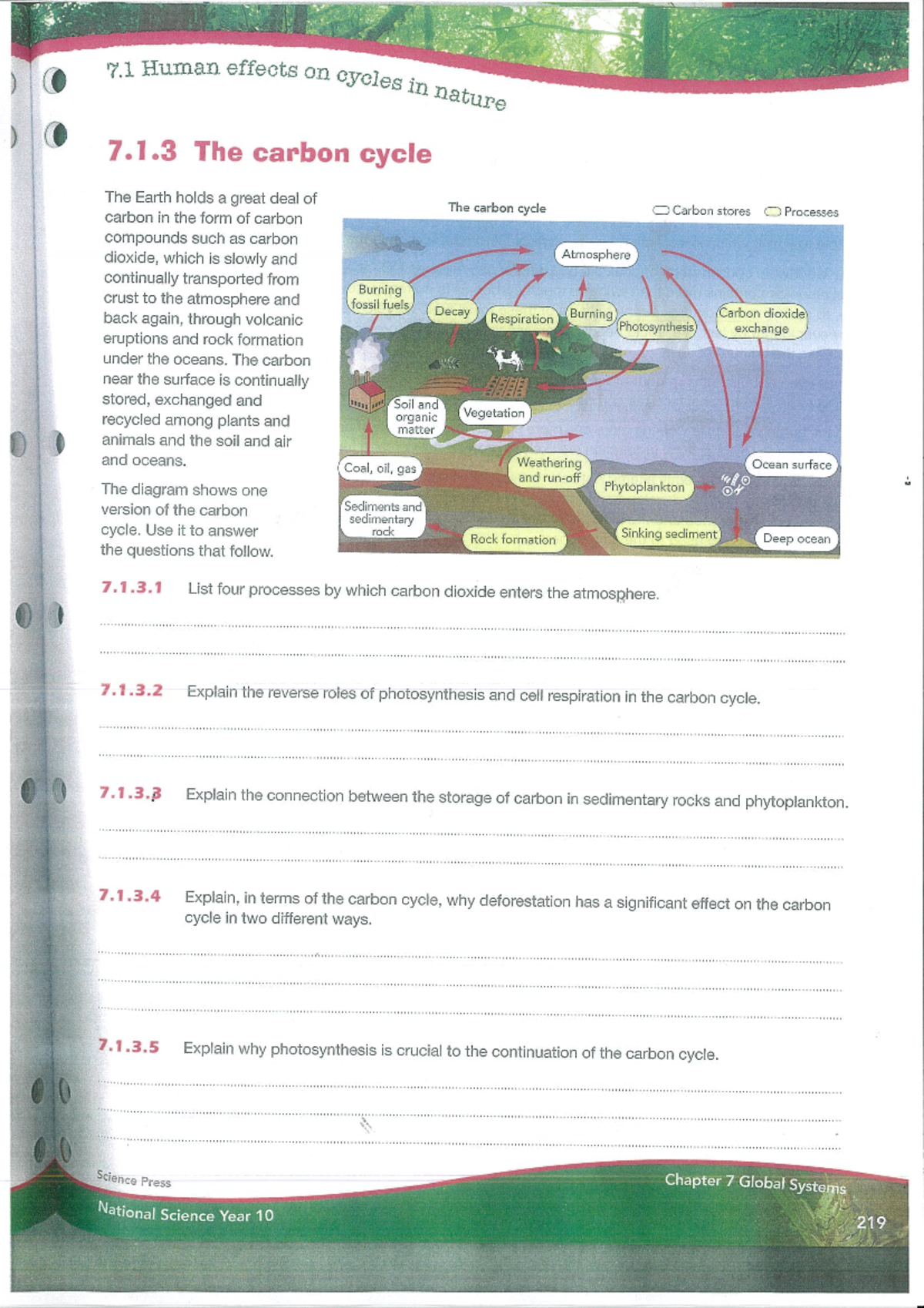 The Carbon Cycle - Studocu