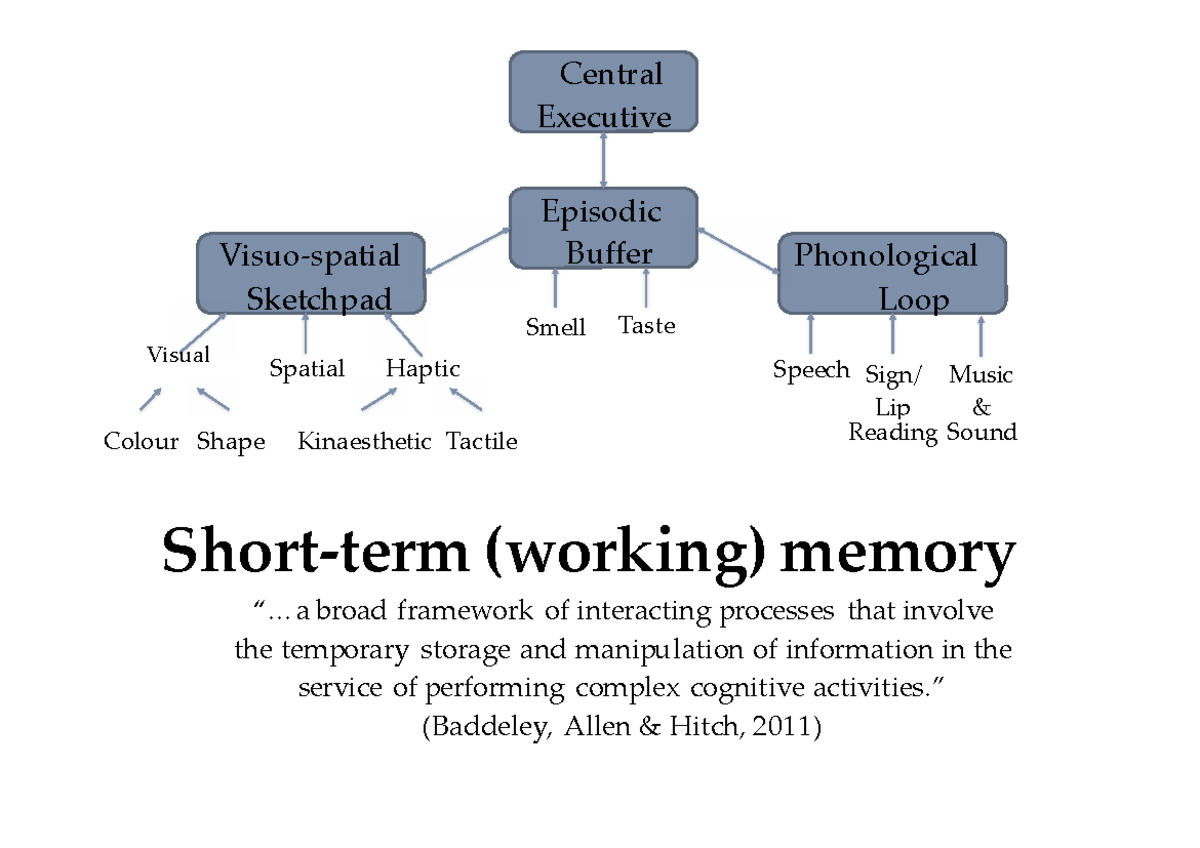Working Memory - Short-term (working) memory “.. broad framework of ...
