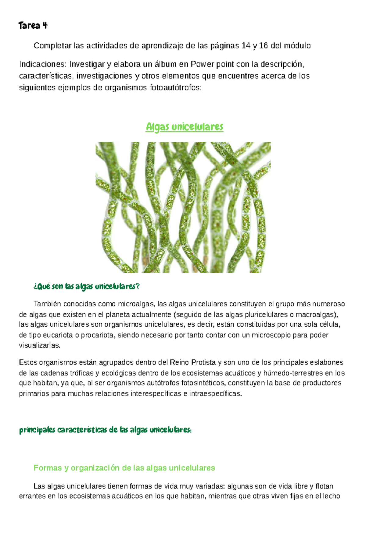 Tarea 4: Algas Unicelulares y su Importancia Ecológica - Ecolo-2 - Studocu