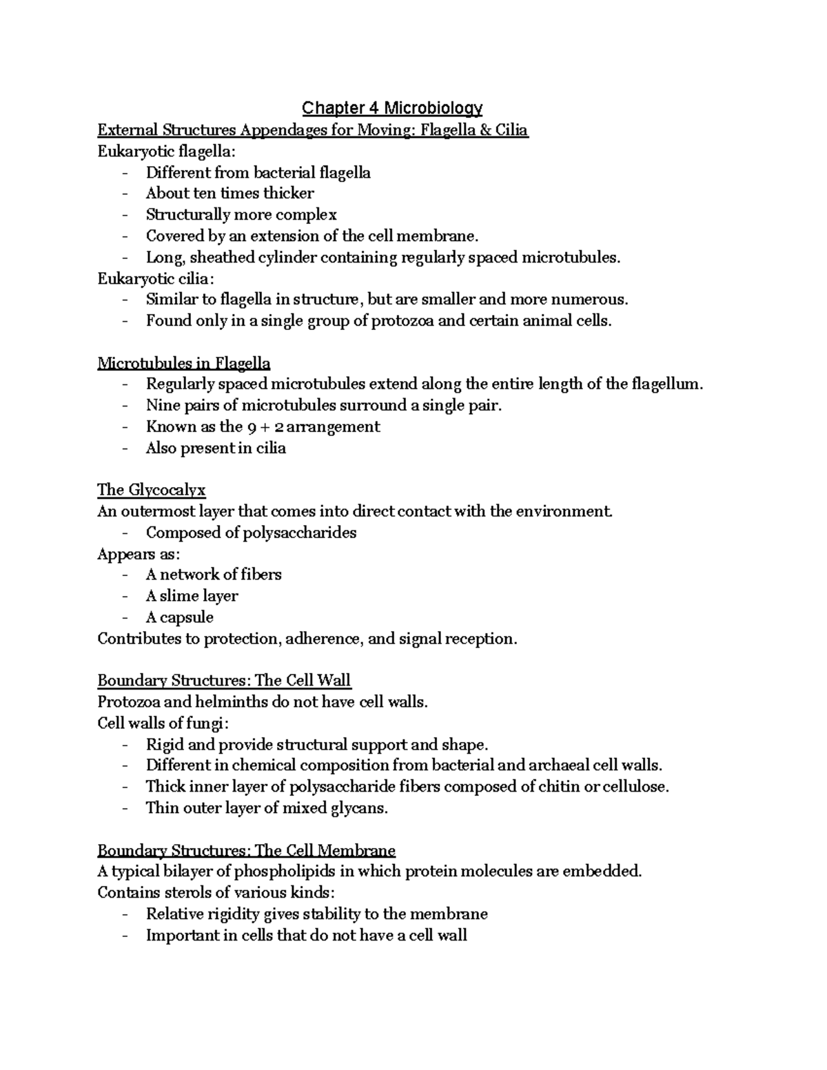 Microbiology 101: Chapter 4 - Eukaryotic Cell Structures and Functions ...