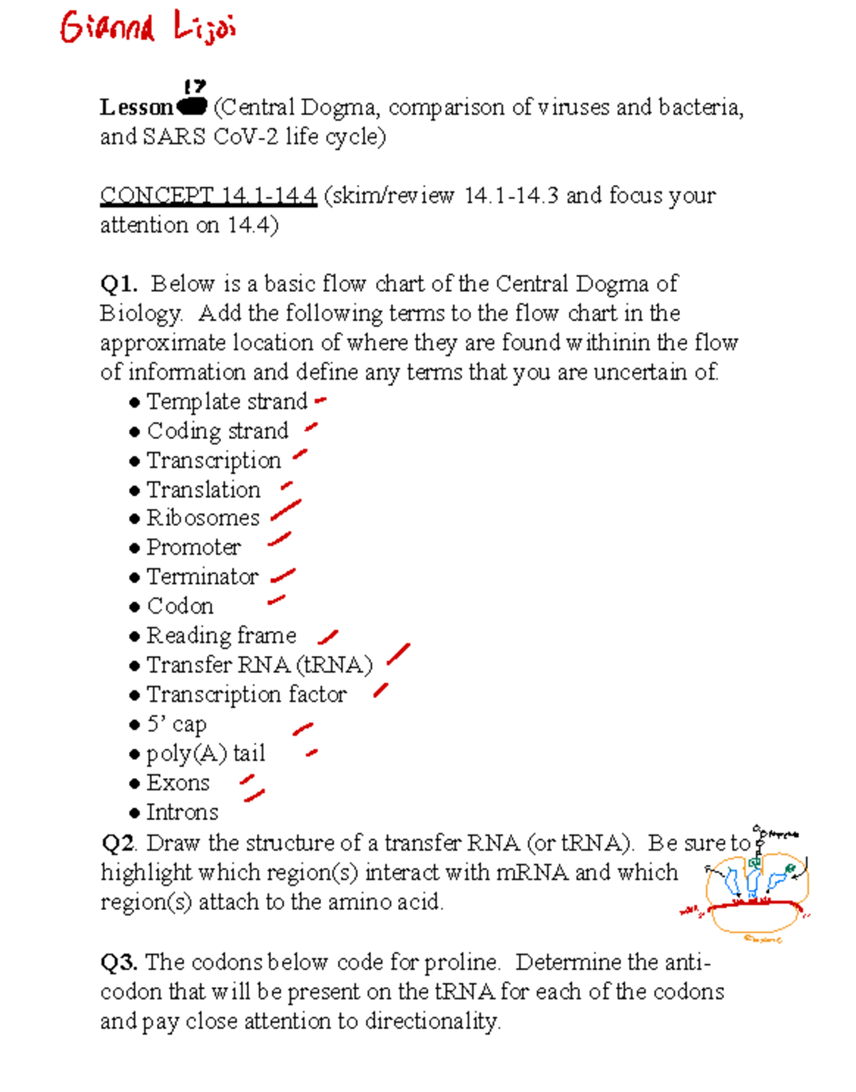 Final Exam Review: Molecular Biology and Immune Response - BIO 101 ...