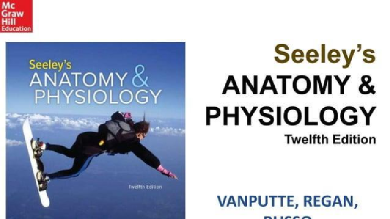 Reproductive System Lecture Outline (ANAT 101) - Chapter 28 - Studocu