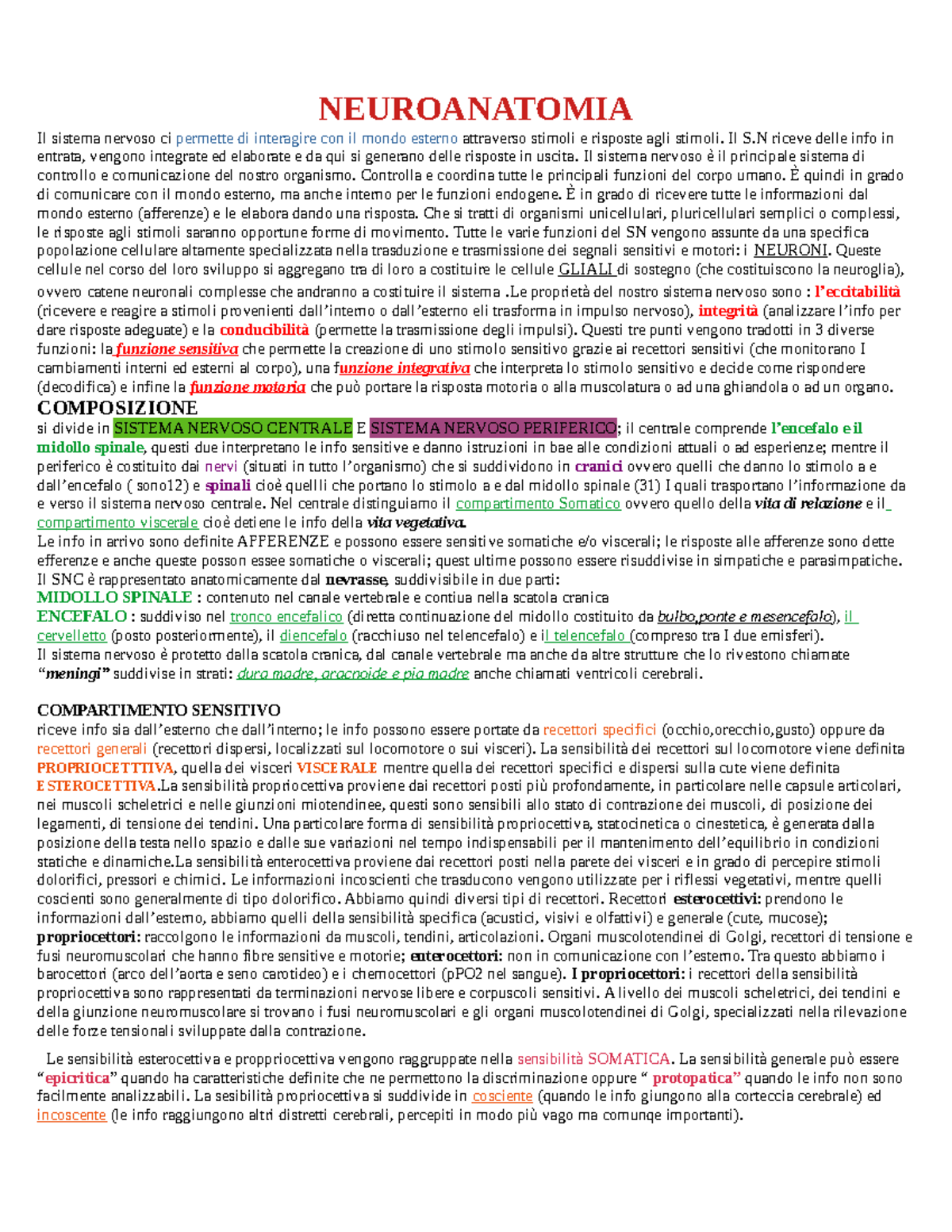 Neuroanatomia: Funzioni e Strutture del Sistema Nervoso (Corso di NEURO) - Document Preview