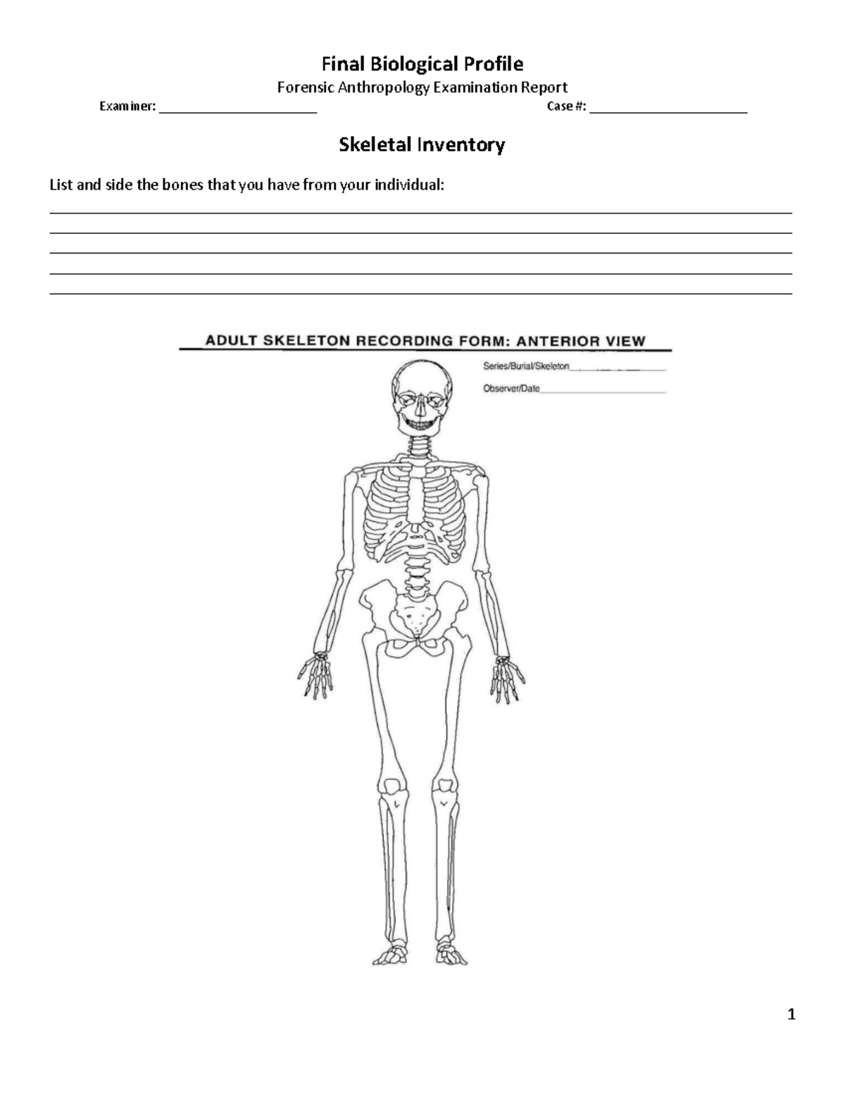 Final Exam ANT 274 Forensic Anthropology Biological Profile Report ...