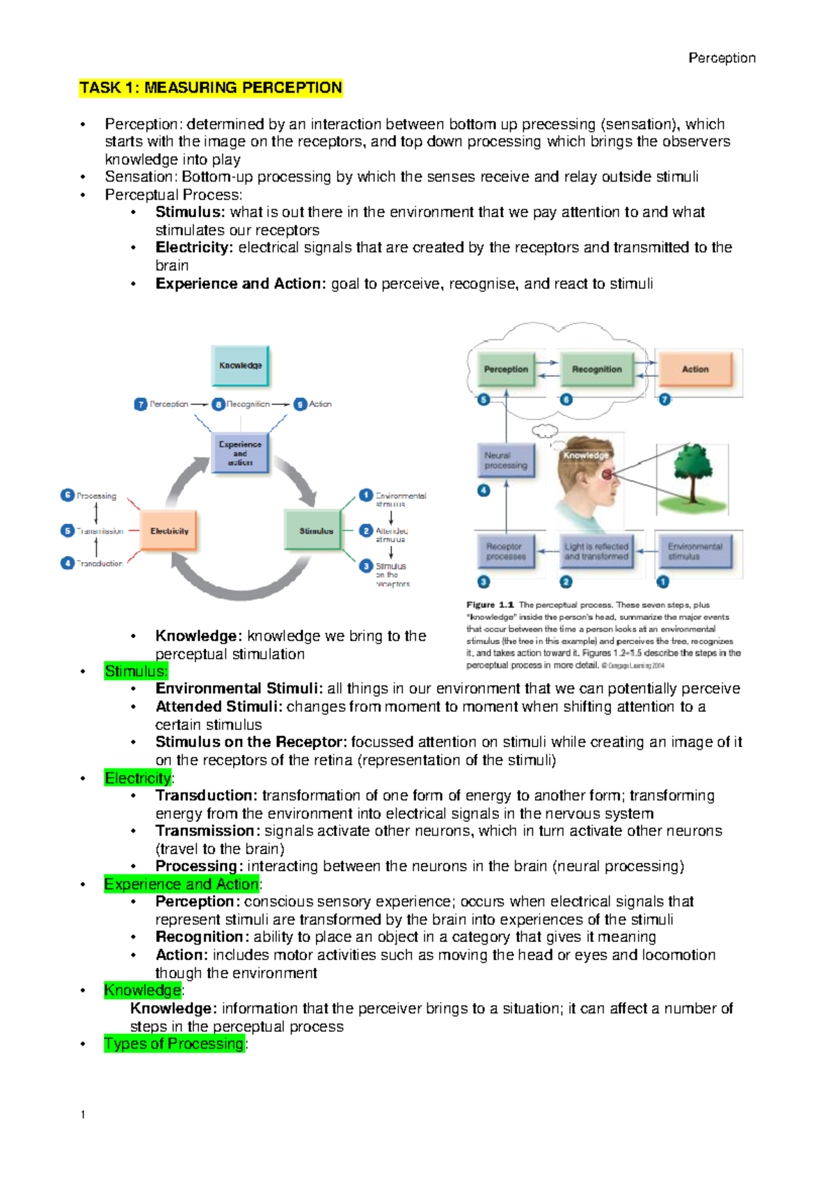 PSY 101: Perception Overview and Key Concepts Summary - Studeersnel
