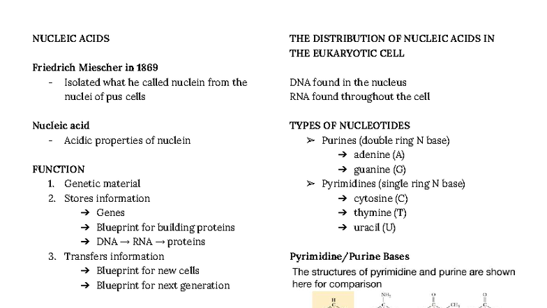 NUC 101: Nucleic Acids Overview and Functions Review - Studocu