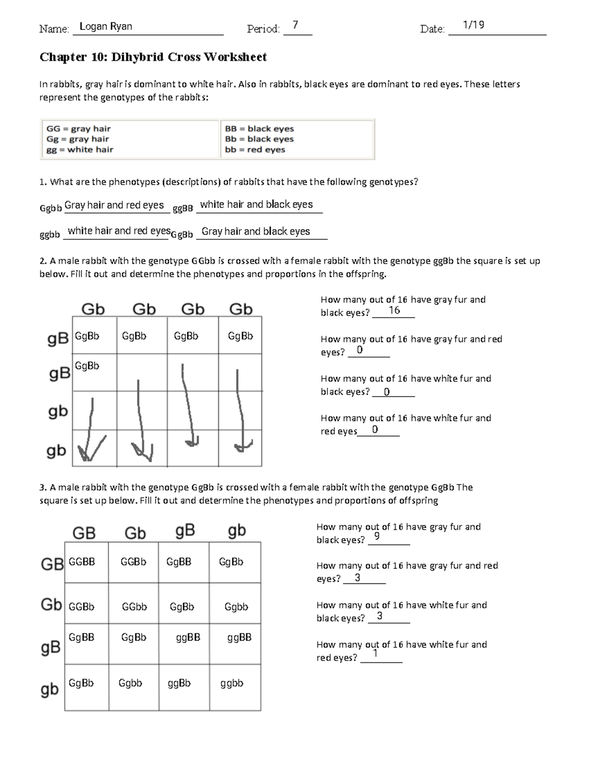 Question 2. BB \u003d black Bb \u003d black bb \u003d white LL \u003d short..., image size:1200x1553