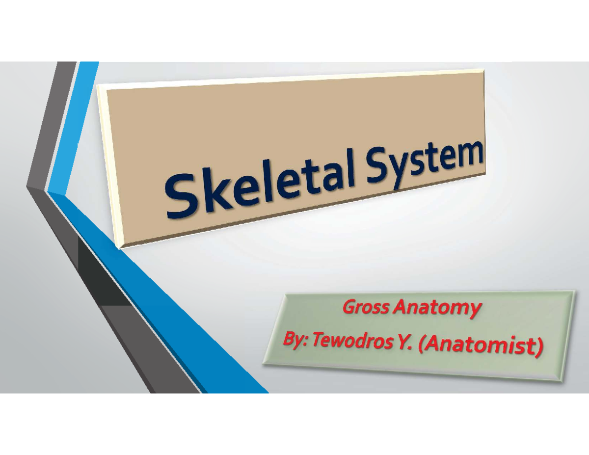 Anatomy of the Skull: A Comprehensive Overview - Studocu