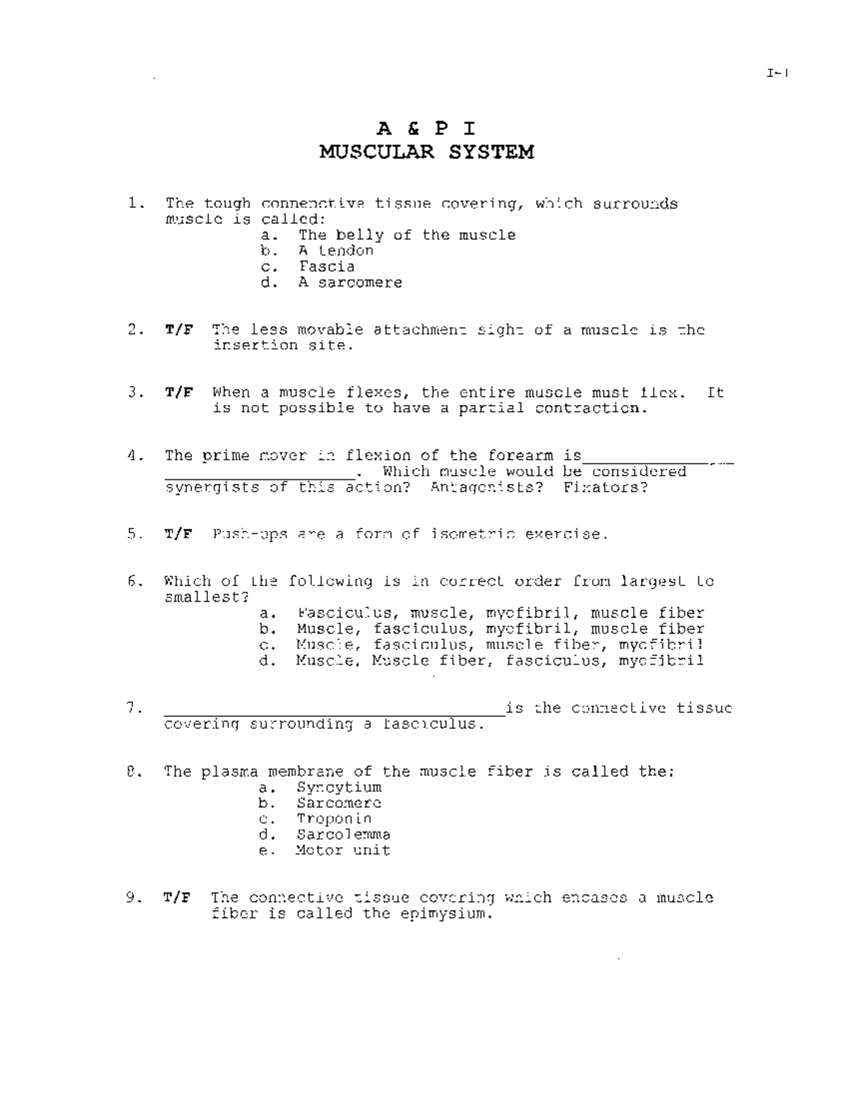 Muscular System Practice Questions for Review and Study - Studocu