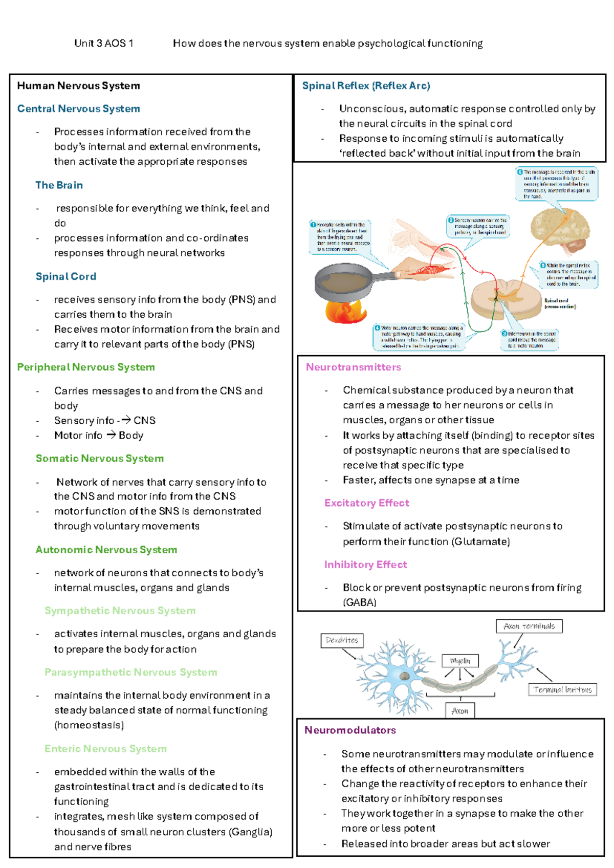 Unit 3 AOS 1 Summary: Human Nervous System Overview and Stress - Studocu