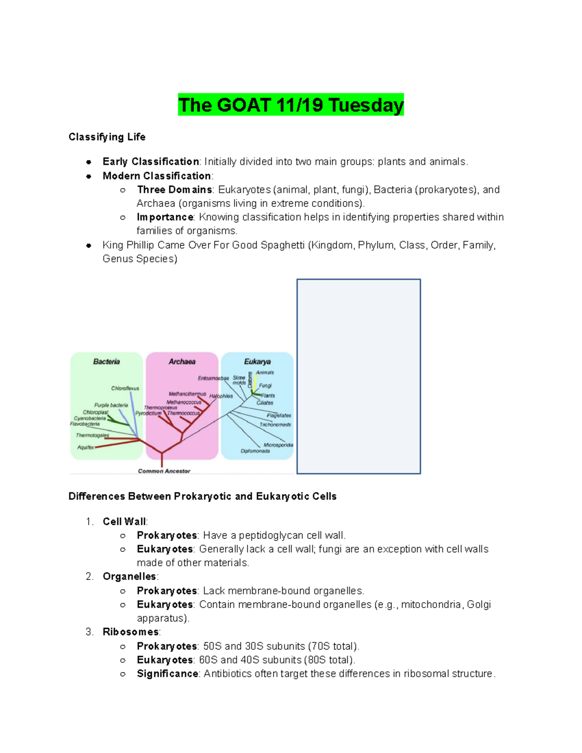 Microbiology EXAM 1 All lectures - The GOAT 11/19 Tuesday ...