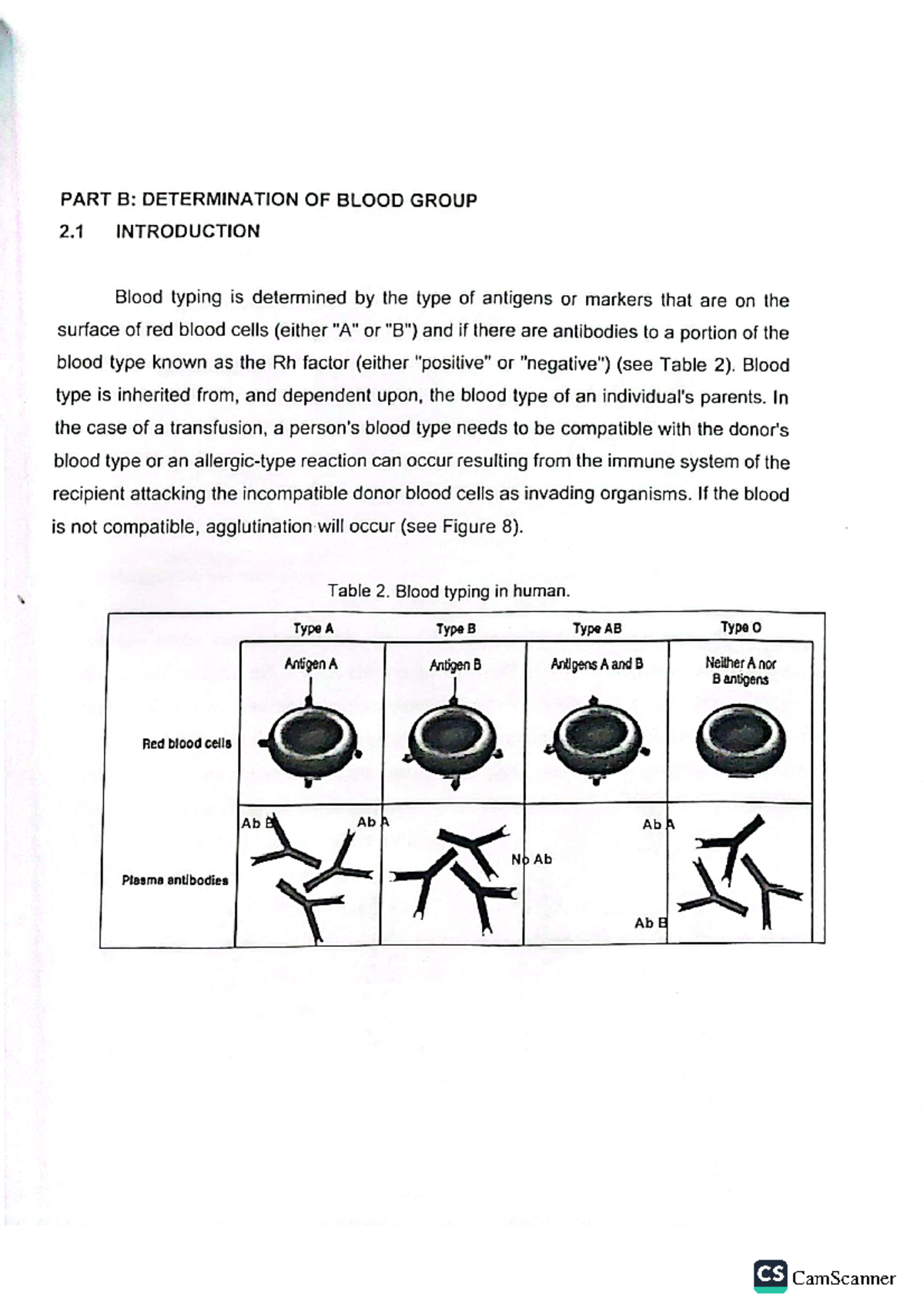 PART B Determination OF Blood Group - PART B: DETERMINATION OF BLOOD ...