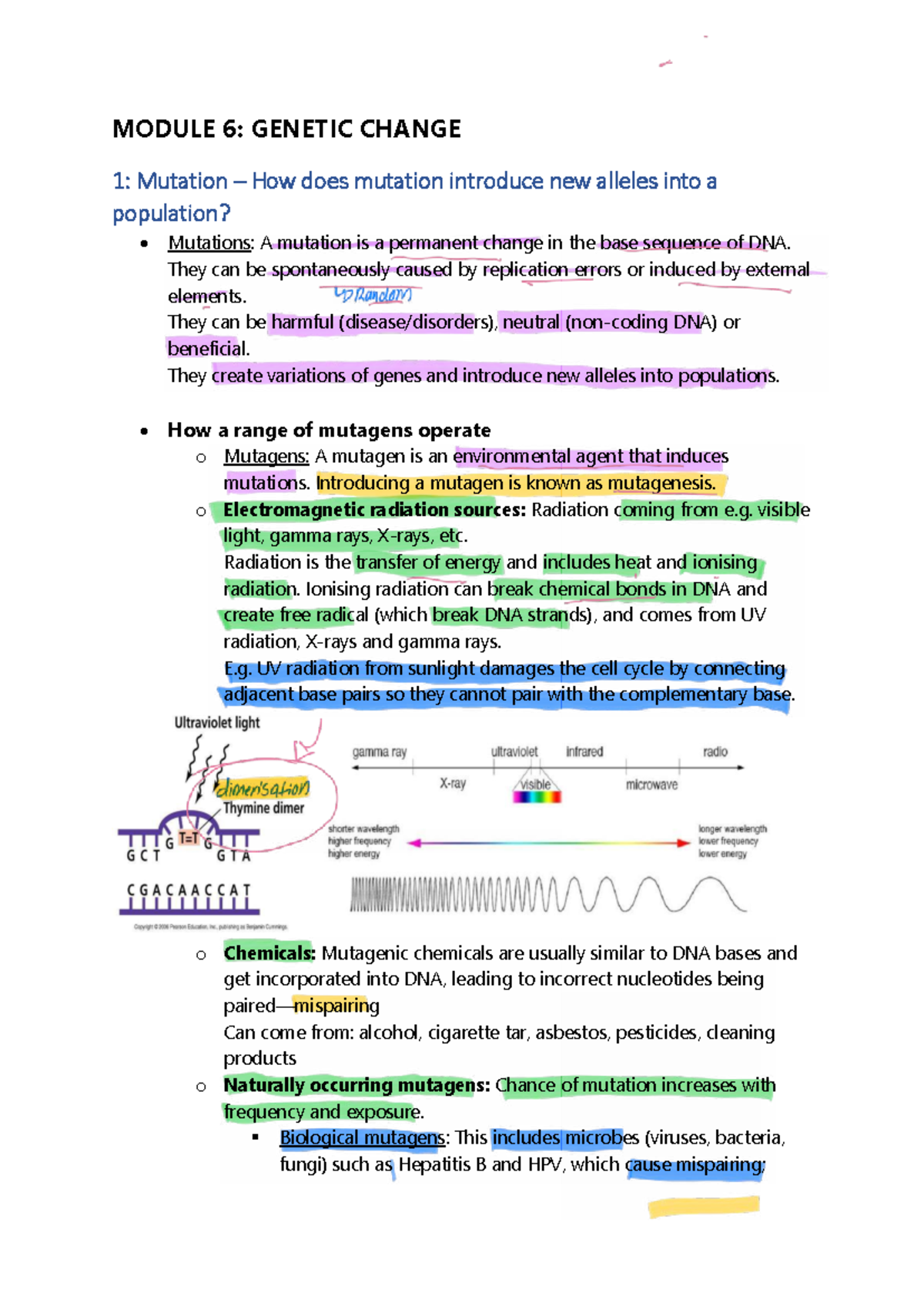 Module 6: Genetic Change - Mutation and Its Impact on Populations - Studocu