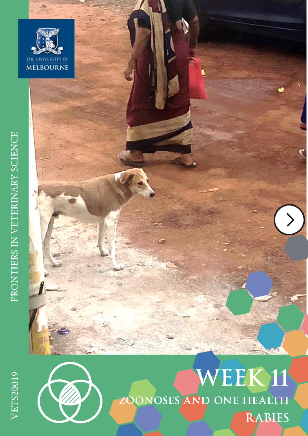 VETS20019 Week 11 Case Study: Rabies and One Health Insights - Studocu