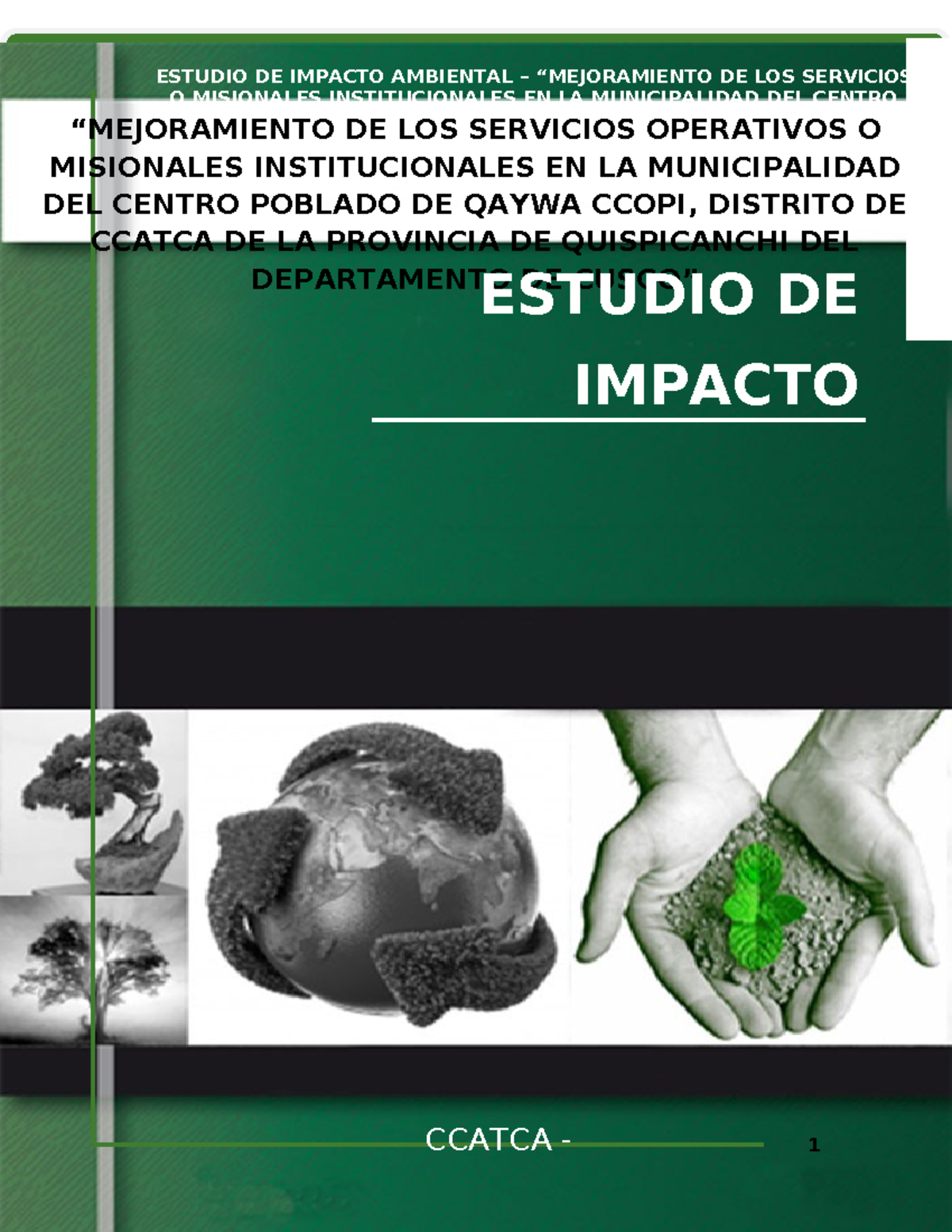 Estudio de Impacto Ambiental EIA-2024: Servicios OPE en Qaywa Ccopi ...