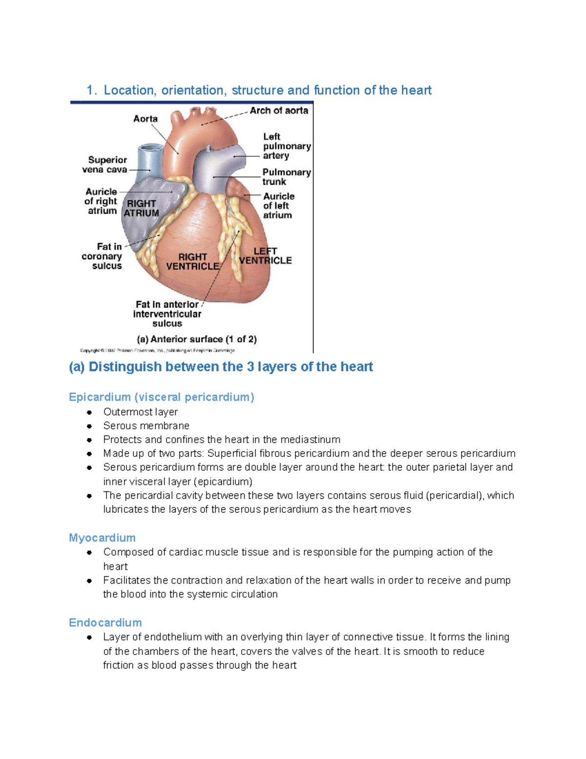 Layers Of Heart In Order